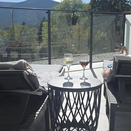 Villa6 Szklarska Poreba- Budynek Glowny -widok Na Gory-duze Tarasy Апартаменты